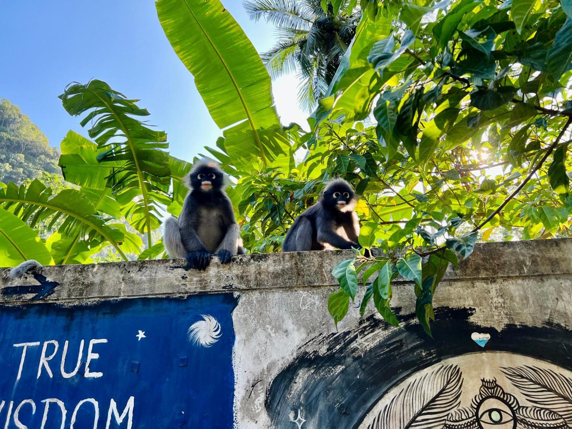 Dream Valley Resort, Pantai Tonsai Luaran gambar